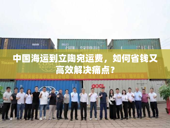 中国海运到立陶宛运费，如何省钱又高效解决痛点？