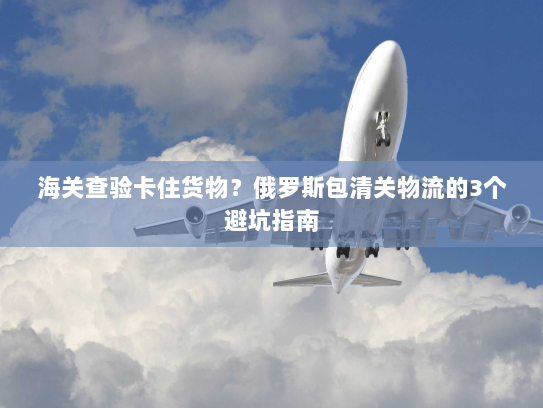 海关查验卡住货物？俄罗斯包清关物流的3个避坑指南