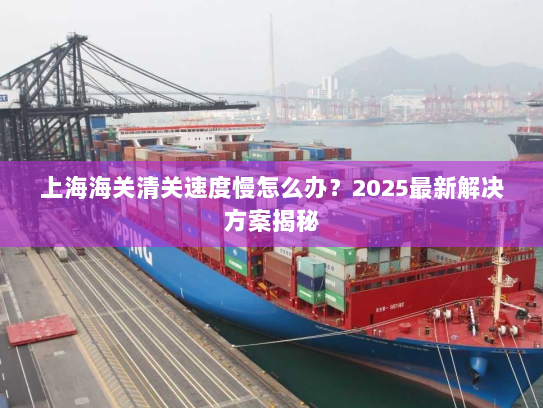 上海海关清关速度慢怎么办?2025最新解决方案揭秘 上海海关清关速度慢怎么办?2025最新解决方案揭秘