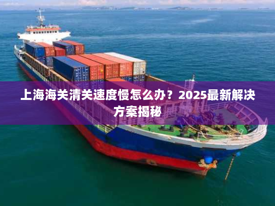 上海海关清关速度慢怎么办?2025最新解决方案揭秘 上海海关清关速度慢怎么办?2025最新解决方案揭秘