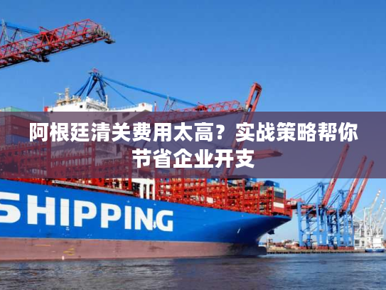 阿根廷清关费用太高？实战策略帮你节省企业开支
