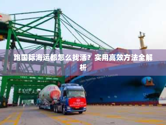 跑国际海运都怎么找活?实用高效方法全解析 跑国际海运都怎么找活?实用高效方法全解析