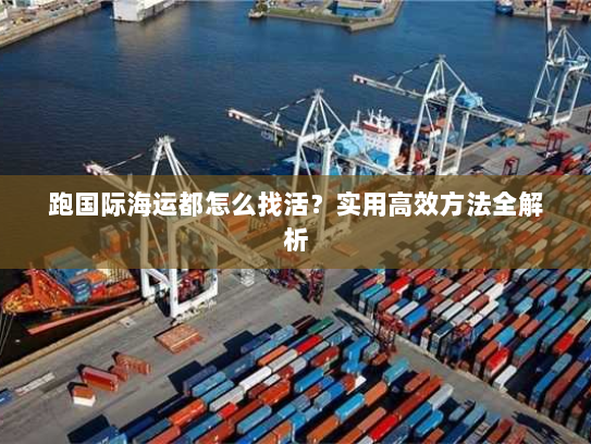 跑国际海运都怎么找活?实用高效方法全解析 跑国际海运都怎么找活?实用高效方法全解析
