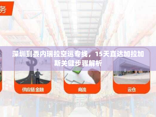 深圳到委内瑞拉空运专线，15天直达加拉加斯关键步骤解析