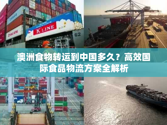 澳洲食物转运到中国多久？高效国际食品物流方案全解析