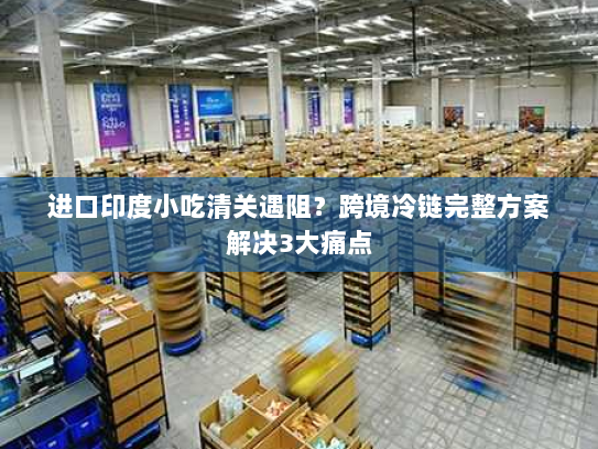进口印度小吃清关遇阻？跨境冷链完整方案解决3大痛点