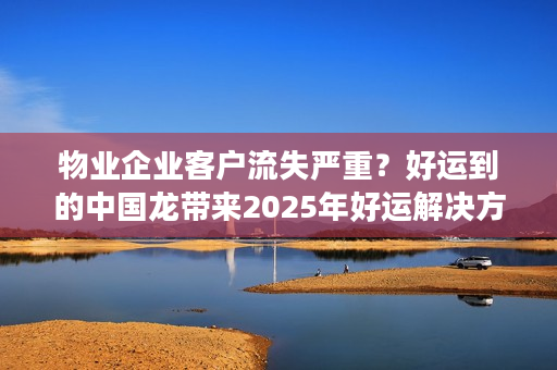 物业企业客户流失严重？好运到的中国龙带来2025年好运解决方案