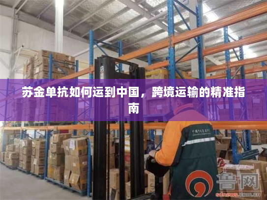 苏金单抗如何运到中国，跨境运输的精准指南