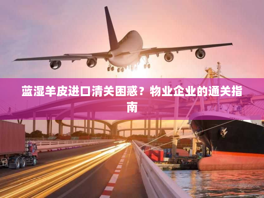 蓝湿羊皮进口清关困惑?物业企业的通关指南 蓝湿羊皮进口清关困惑?物业企业的通关指南