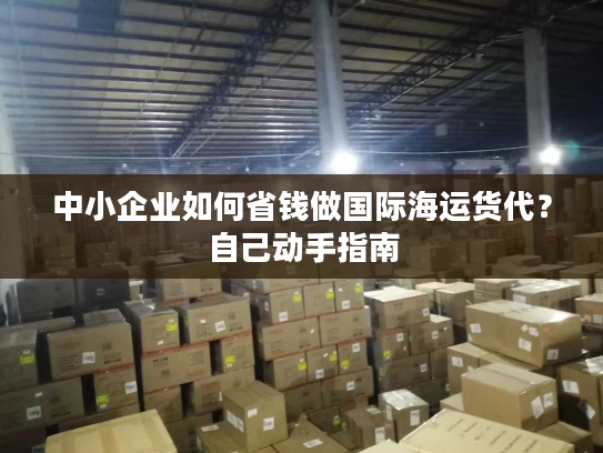 中小企业如何省钱做国际海运货代？自己动手指南