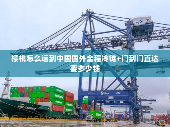 樱桃怎么运到中国国外全程冷链+门到门直达要多少钱 樱桃怎么运到中国国外全程冷链+门到门直达要多少钱
