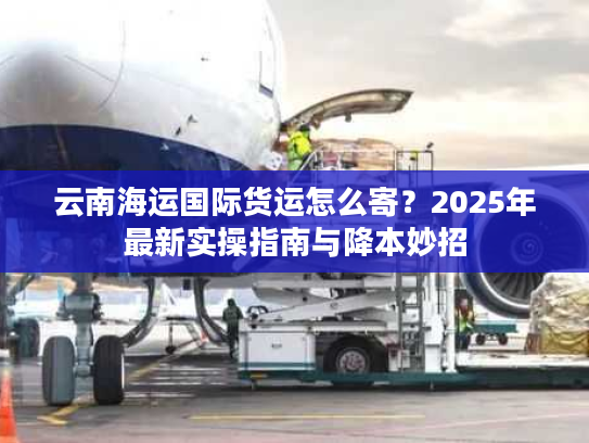 云南海运国际货运怎么寄？2025年最新实操指南与降本妙招