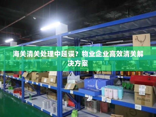 海关清关处理中延误?物业企业高效清关解决方案 海关清关处理中延误?物业企业高效清关解决方案