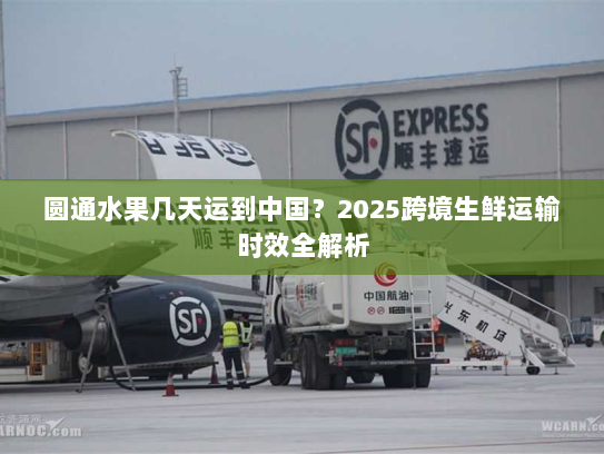 圆通水果几天运到中国?2025跨境生鲜运输时效全解析 圆通水果几天运到中国?2025跨境生鲜运输时效全解析