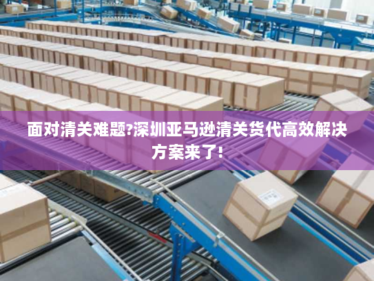 面对清关难题?深圳亚马逊清关货代高效解决方案来了! 面对清关难题?深圳亚马逊清关货代高效解决方案来了!
