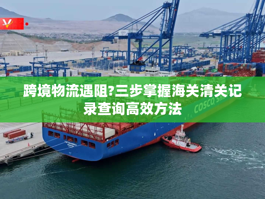 跨境物流遇阻?三步掌握海关清关记录查询高效方法