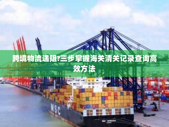 跨境物流遇阻?三步掌握海关清关记录查询高效方法 跨境物流遇阻?三步掌握海关清关记录查询高效方法
