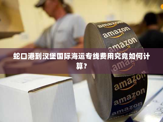 蛇口港到汉堡国际海运专线费用究竟如何计算? 蛇口港到汉堡国际海运专线费用究竟如何计算?