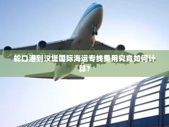 蛇口港到汉堡国际海运专线费用究竟如何计算? 蛇口港到汉堡国际海运专线费用究竟如何计算?