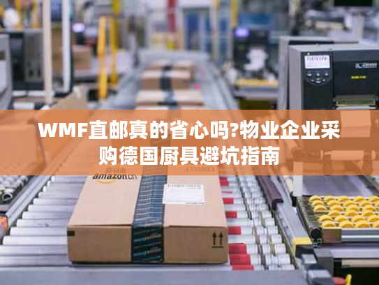 WMF直邮真的省心吗?物业企业采购德国厨具避坑指南