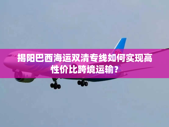 揭阳巴西海运双清专线如何实现高性价比跨境运输? 揭阳巴西海运双清专线如何实现高性价比跨境运输?
