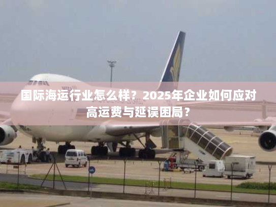 国际海运行业怎么样？2025年企业如何应对高运费与延误困局？