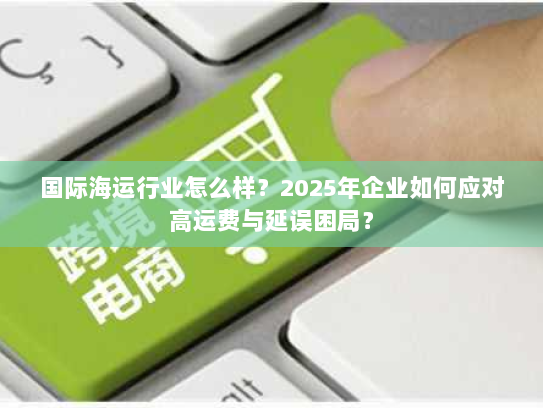 国际海运行业怎么样？2025年企业如何应对高运费与延误困局？
