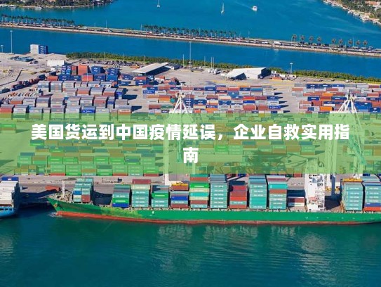 美国货运到中国疫情延误，企业自救实用指南