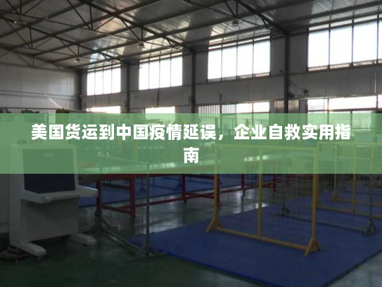 美国货运到中国疫情延误，企业自救实用指南