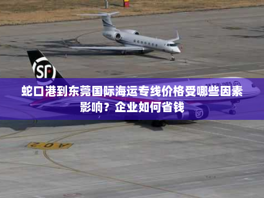 蛇口港到东莞国际海运专线价格受哪些因素影响?企业如何省钱 蛇口港到东莞国际海运专线价格受哪些因素影响?企业如何省钱