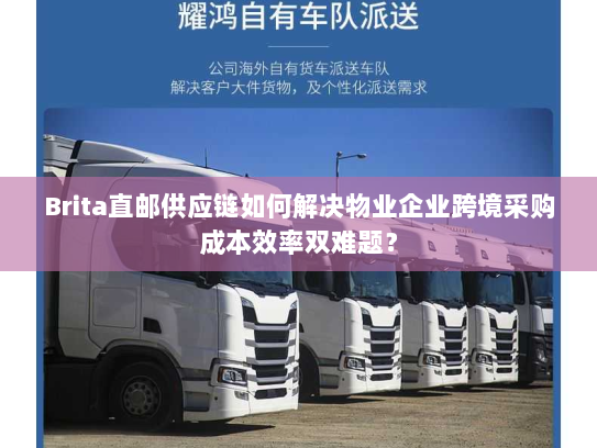 Brita直邮供应链如何解决物业企业跨境采购成本效率双难题? Brita直邮供应链如何解决物业企业跨境采购成本效率双难题?