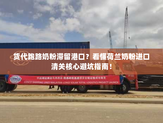 货代跑路奶粉滞留港口?看懂荷兰奶粉进口清关核心避坑指南! 货代跑路奶粉滞留港口?看懂荷兰奶粉进口清关核心避坑指南!