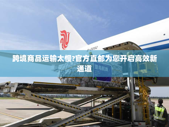 跨境商品运输太慢?官方直邮为您开启高效新通道 跨境商品运输太慢?官方直邮为您开启高效新通道