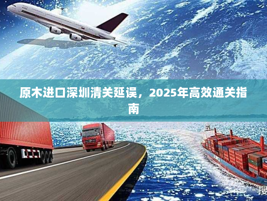 原木进口深圳清关延误，2025年高效通关指南