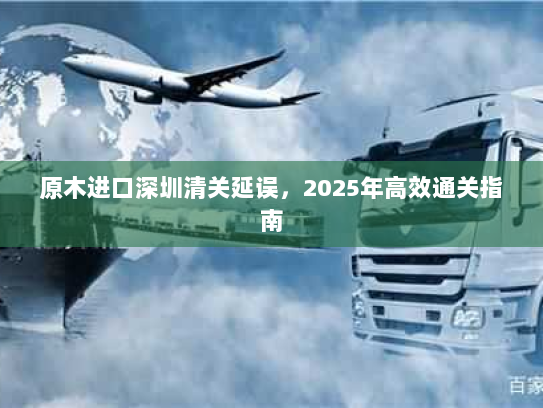 原木进口深圳清关延误，2025年高效通关指南