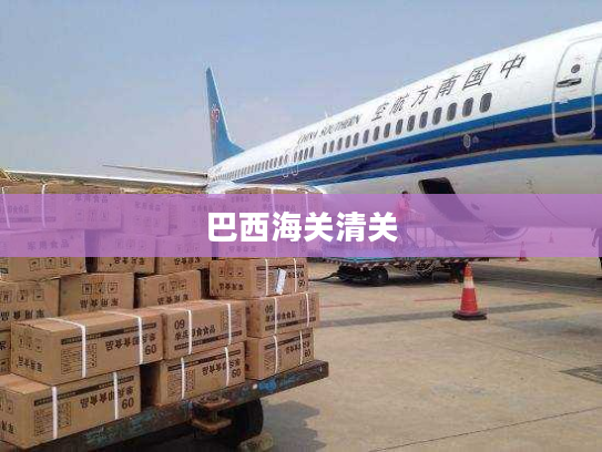 巴西海关清关 巴西海关清关