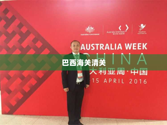 巴西海关清关 巴西海关清关