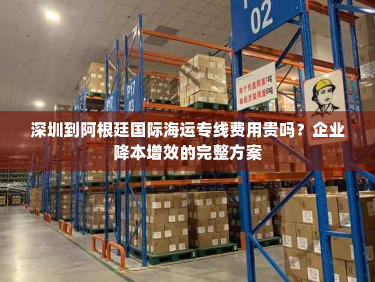 深圳到阿根廷国际海运专线费用贵吗?企业降本增效的完整方案 深圳到阿根廷国际海运专线费用贵吗?企业降本增效的完整方案