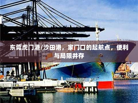 东莞虎门港/沙田港,家门口的起航点,便利与局限并存 东莞虎门港/沙田港,家门口的起航点,便利与局限并存