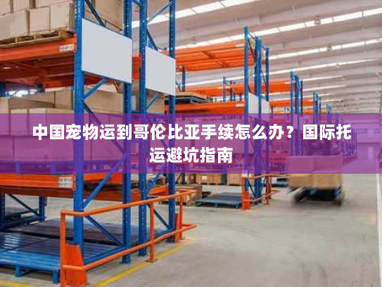 中国宠物运到哥伦比亚手续怎么办?国际托运避坑指南 中国宠物运到哥伦比亚手续怎么办?国际托运避坑指南