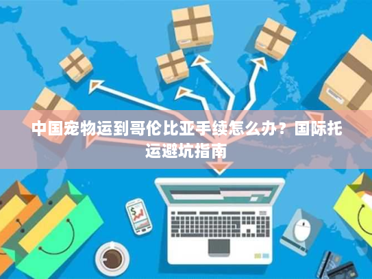 中国宠物运到哥伦比亚手续怎么办?国际托运避坑指南 中国宠物运到哥伦比亚手续怎么办?国际托运避坑指南