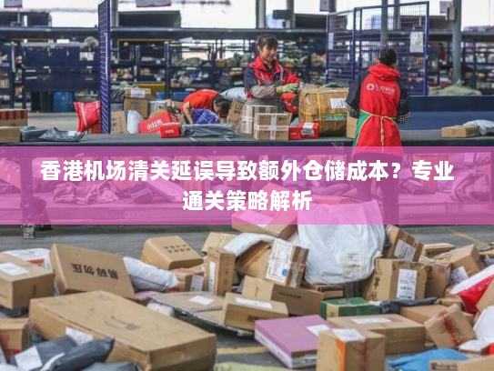 香港机场清关延误导致额外仓储成本?专业通关策略解析 香港机场清关延误导致额外仓储成本?专业通关策略解析