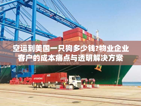 空运到美国一只狗多少钱?物业企业客户的成本痛点与透明解决方案