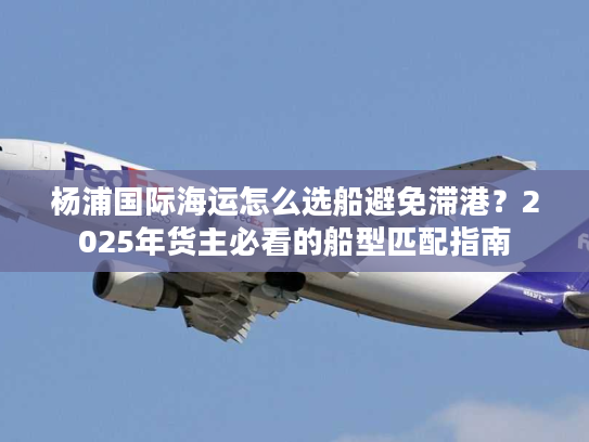 杨浦国际海运怎么选船避免滞港？2025年货主必看的船型匹配指南