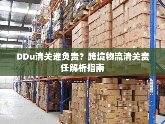 DDu清关谁负责?跨境物流清关责任解析指南 DDu清关谁负责?跨境物流清关责任解析指南