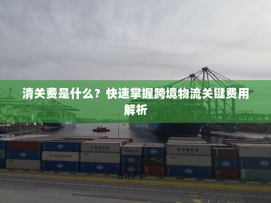 清关费是什么?快速掌握跨境物流关键费用解析 清关费是什么?快速掌握跨境物流关键费用解析