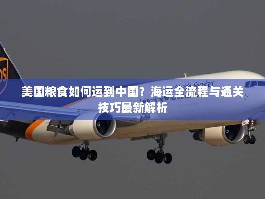 美国粮食如何运到中国?海运全流程与通关技巧最新解析 美国粮食如何运到中国?海运全流程与通关技巧最新解析