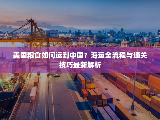 美国粮食如何运到中国?海运全流程与通关技巧最新解析 美国粮食如何运到中国?海运全流程与通关技巧最新解析