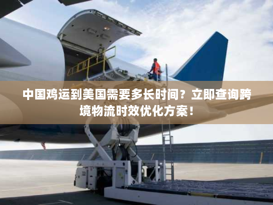 中国鸡运到美国需要多长时间?立即查询跨境物流时效优化方案! 中国鸡运到美国需要多长时间?立即查询跨境物流时效优化方案!