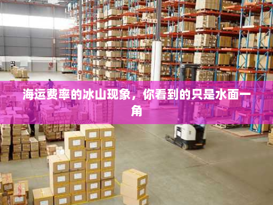 海运费率的冰山现象，你看到的只是水面一角
